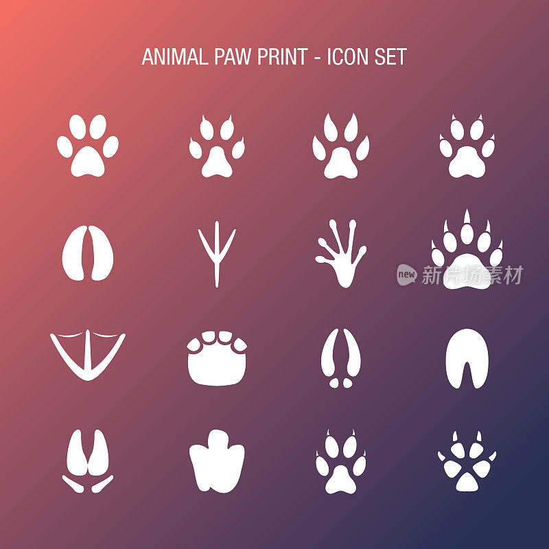 Animal Paw Print Icon Set Coral and Midnight Blue Gradient Background